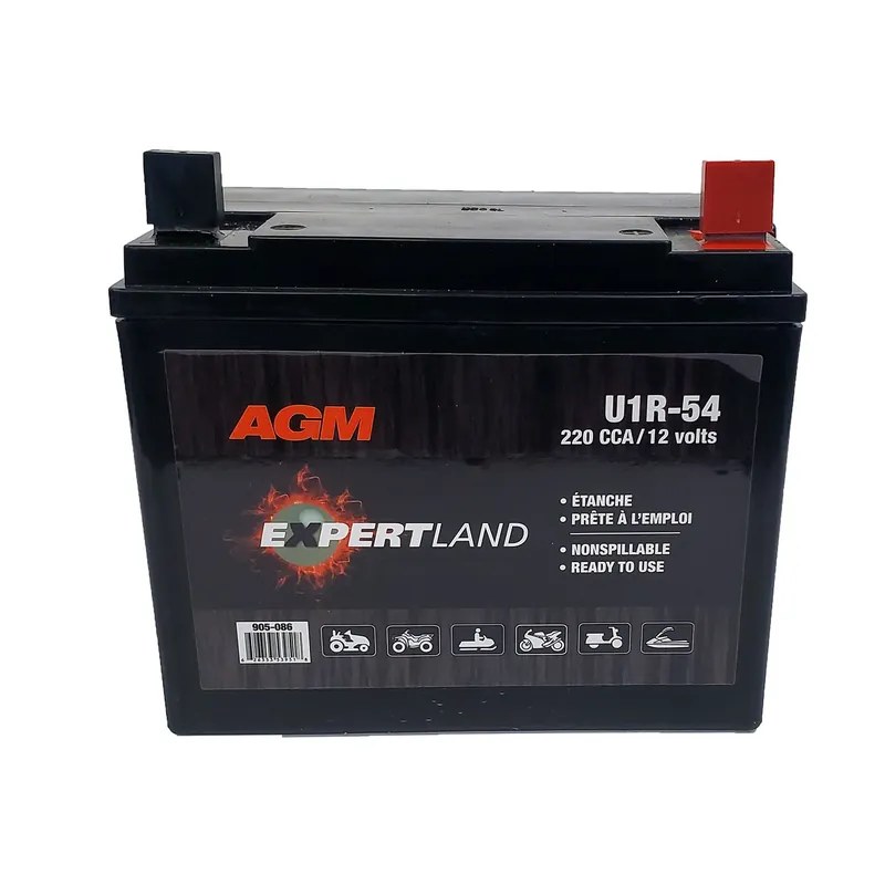 Batterie de remplacement AGM U1R-54, 220 A, 7 3/4&Prime; L x 5 1/4&Prime; P x 7 1/8&Prime; Solde